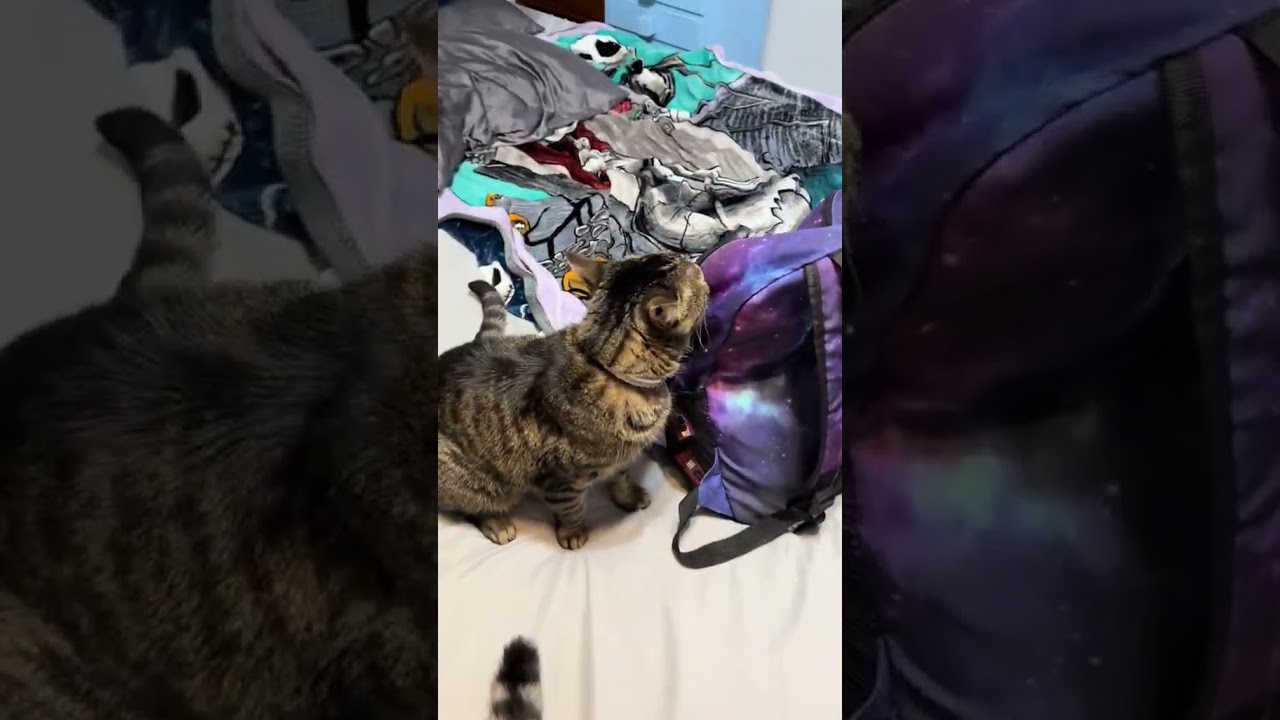 When the landlords demand their rent 