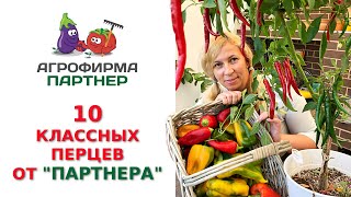 10 КЛАССНЫХ ПЕРЦЕВ ОТ \