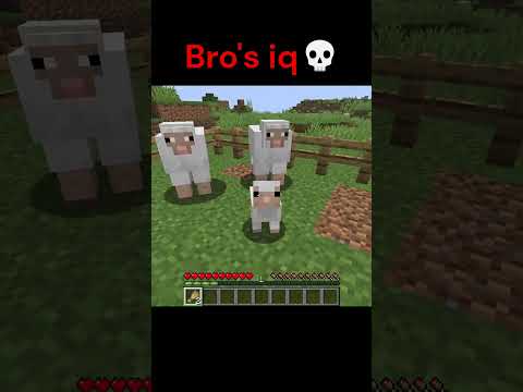 WTH #like #minecraft #gaming