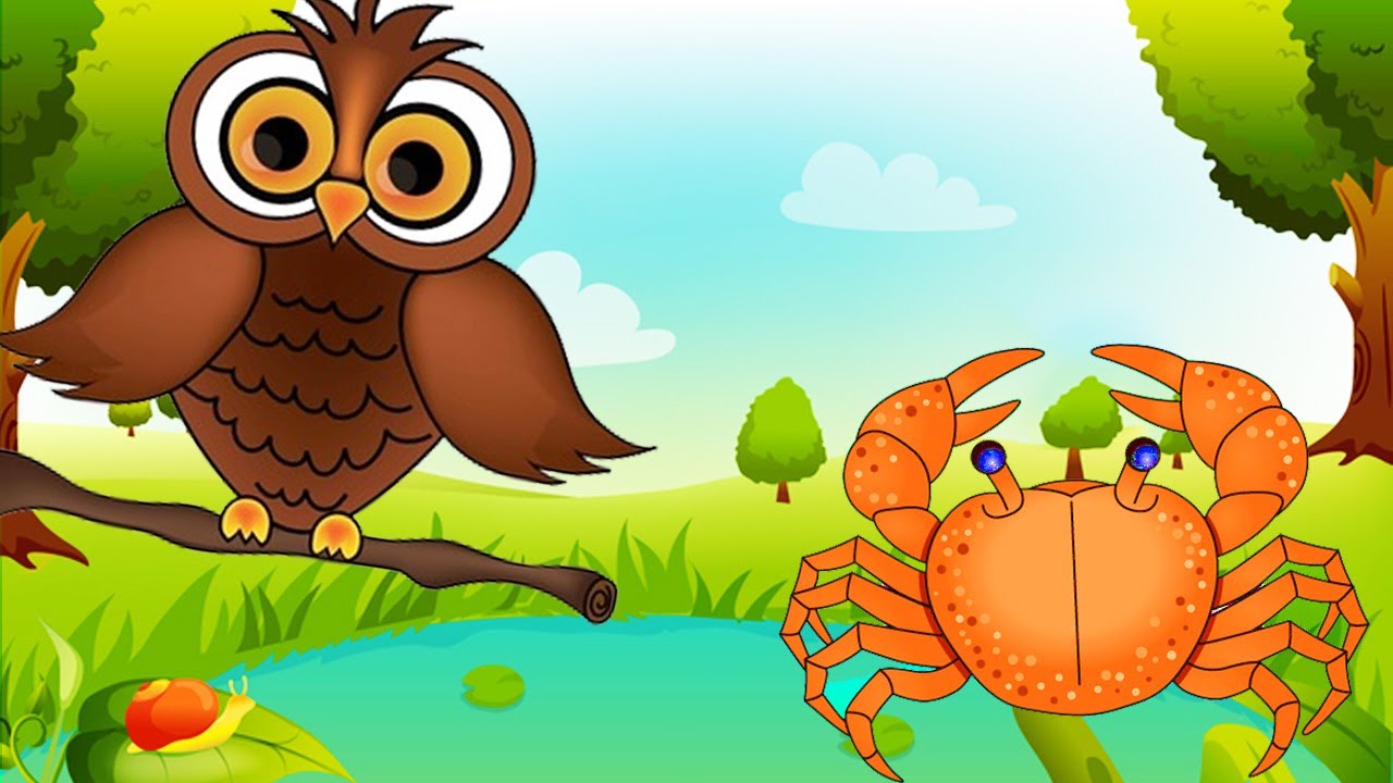 The Golden Crab and The Clever Owl | Jungle Stories for Children