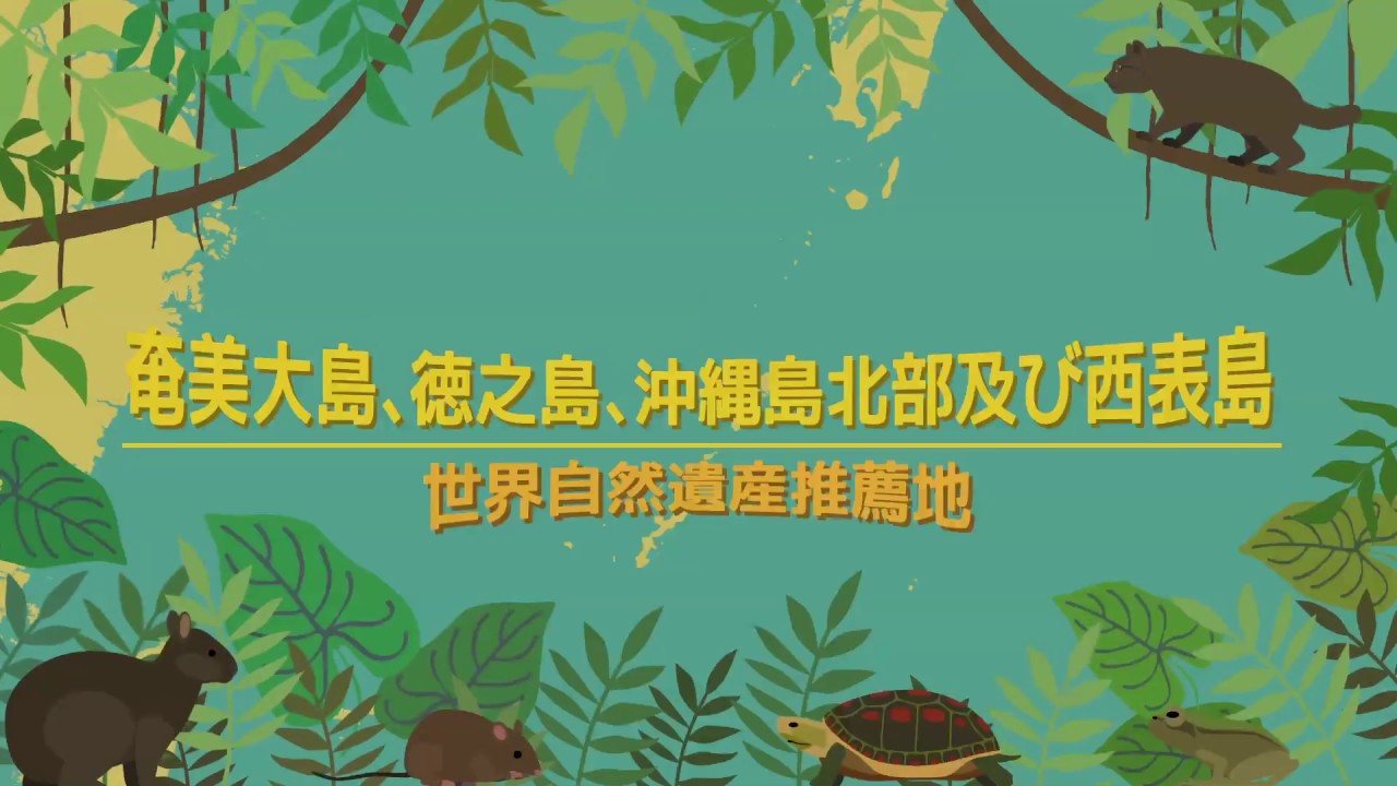 奄美大島 徳之島 沖縄島北部及び西表島 の世界遺産としての価値 Youtube