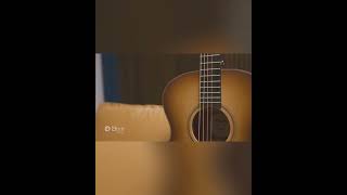 Breedlove Roots Concert Sitka - Mahogany Guitar