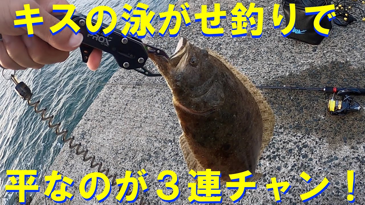 キスの泳がせをしたら平なヤツが3連チャン！