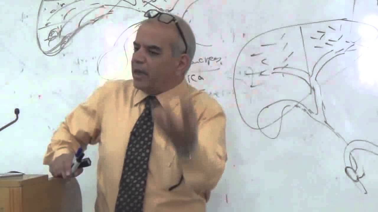 Embryology - GIT - Dr. Gamal - UQU Med