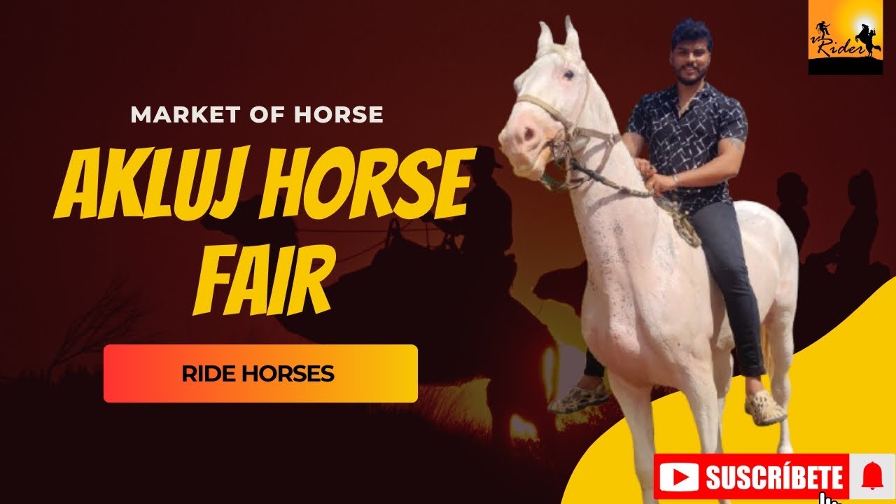 HOSRE FAIR IN AKLUJ #horse #horses #horseracing #viral #dbossfan #karnataka #kannada #horselife