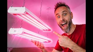Best Grow Light?