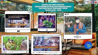 Kegiatan Inovasi Disperindag NTT dari Tahun 2020 - 2022