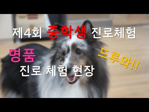 세연고등학교 - 중학생 진로체험