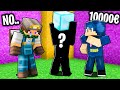 NON DOVEVO VENDERE il DIAMANTE a 100€  - Vita in Città su Minecraft #3