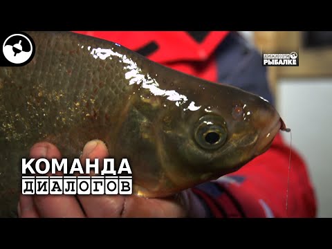 Лещ. Зимняя рыбалка. Озеро Волго | Новые Диалоги ©