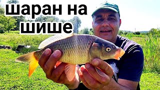 видео: РИБОЛОВ НА ШАРАН С ШИШЕ И ЗВЪНЧЕ НА ДЪНО! ЕДИН ПОЗАБРАВЕН МЕТОД ОТ НАШЕТО ДЕТСТВО, КОЙТО РАБОТИ СЕГА картинка: РИБОЛОВ НА ШАРАН С ШИШЕ И ЗВЪНЧЕ НА ДЪНО! ЕДИН ПОЗАБРАВЕН МЕТОД ОТ НАШЕТО ДЕТСТВО, КОЙТО РАБОТИ СЕГА