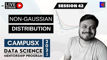Session 42 - Non-Gaussian Probability Distributions | DSMP 2023