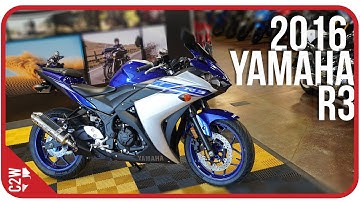 2016 Yamaha R3 | First Ride