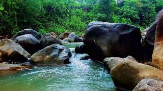 12 Hours of Peaceful River Flowing Water – Natural Ambience