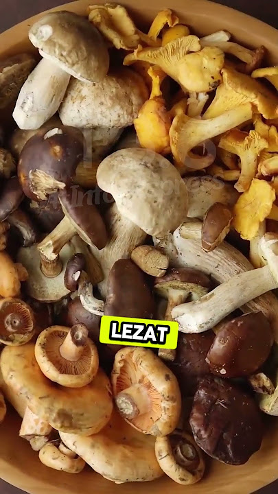 Jangan Pernah Makan Jamur Ini!! #informatif #faktaunik