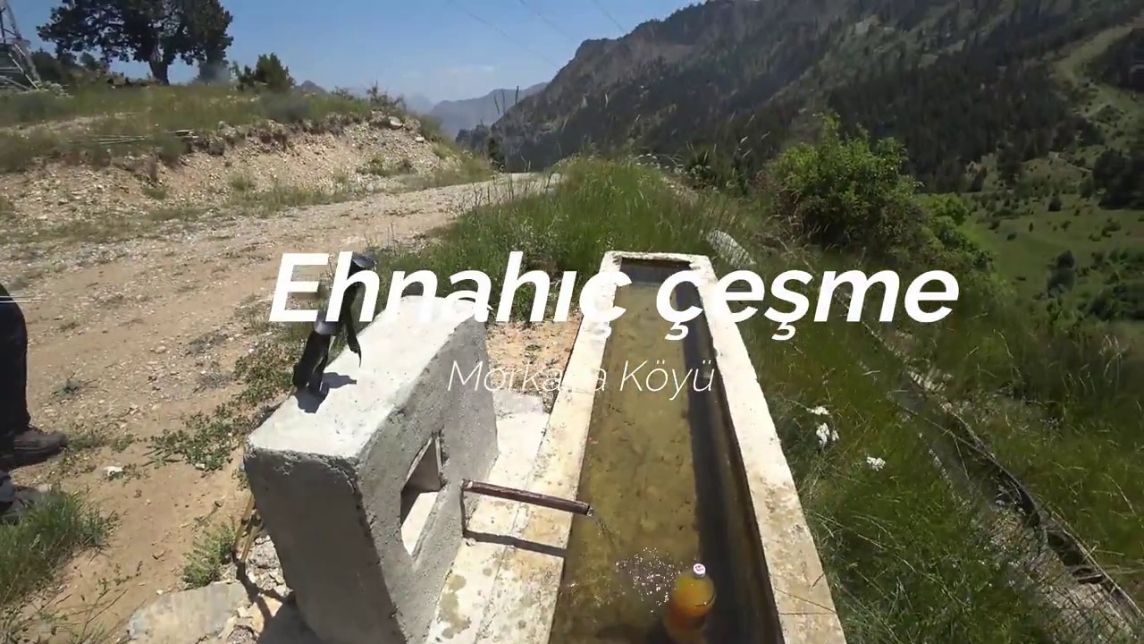 Morkaya Ormandibi Aros Büyükdağ Dacar Temmuz 2017