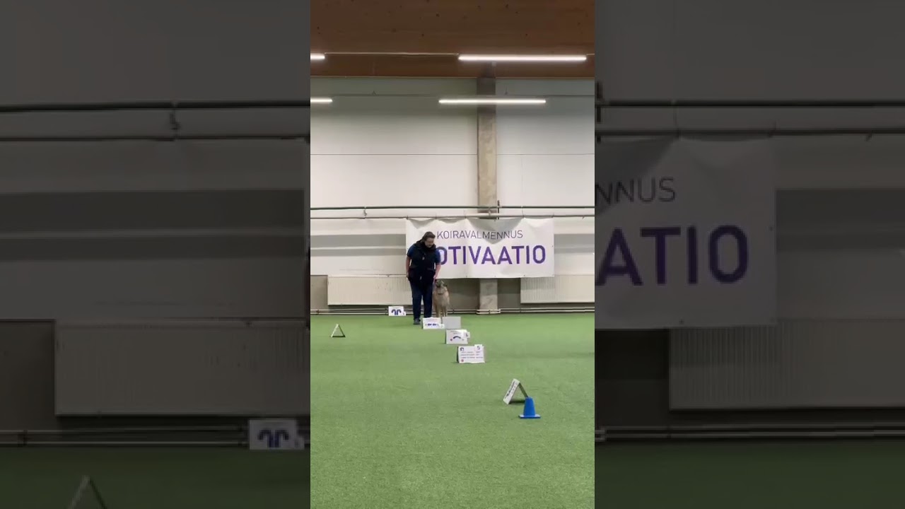 2026 A-kisa Jyväskylä, Ruby River's Eldarion 93 pist.