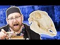 WHO SENT ME A SKULL? ARTWORK & ODDITIES 3 (Mail Vlog)