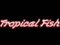 Tropical fish  ethio happy