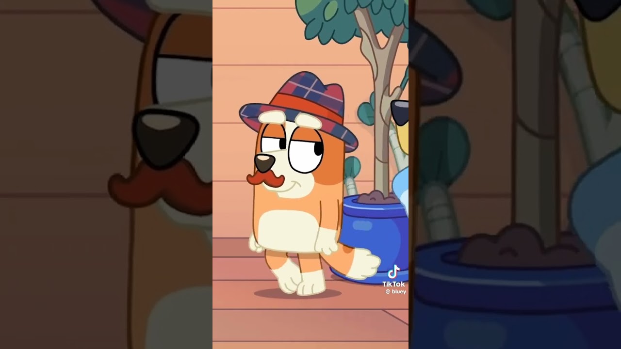 Bingo keeps saying “babe” 