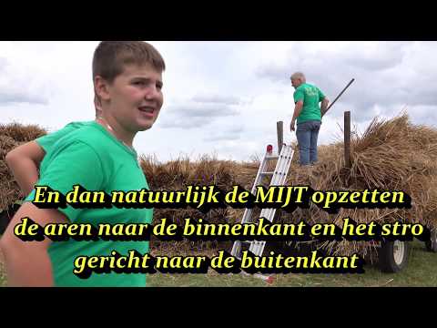 Oogsttijd 800 - Deel 2 Oogsten  - Horst aan de Maas 1219  2019  11 augustus 2019