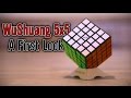 QiYi WuShuang 5x5: a first look