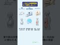 この3つの医療検査、もう混同しないで！