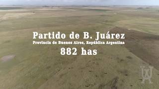 Alzaga Unzué - Benito Juarez - Buenos Aires - Argentina - 882 Has.