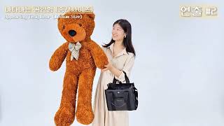 Appearing Teddy Bear - Medium Size