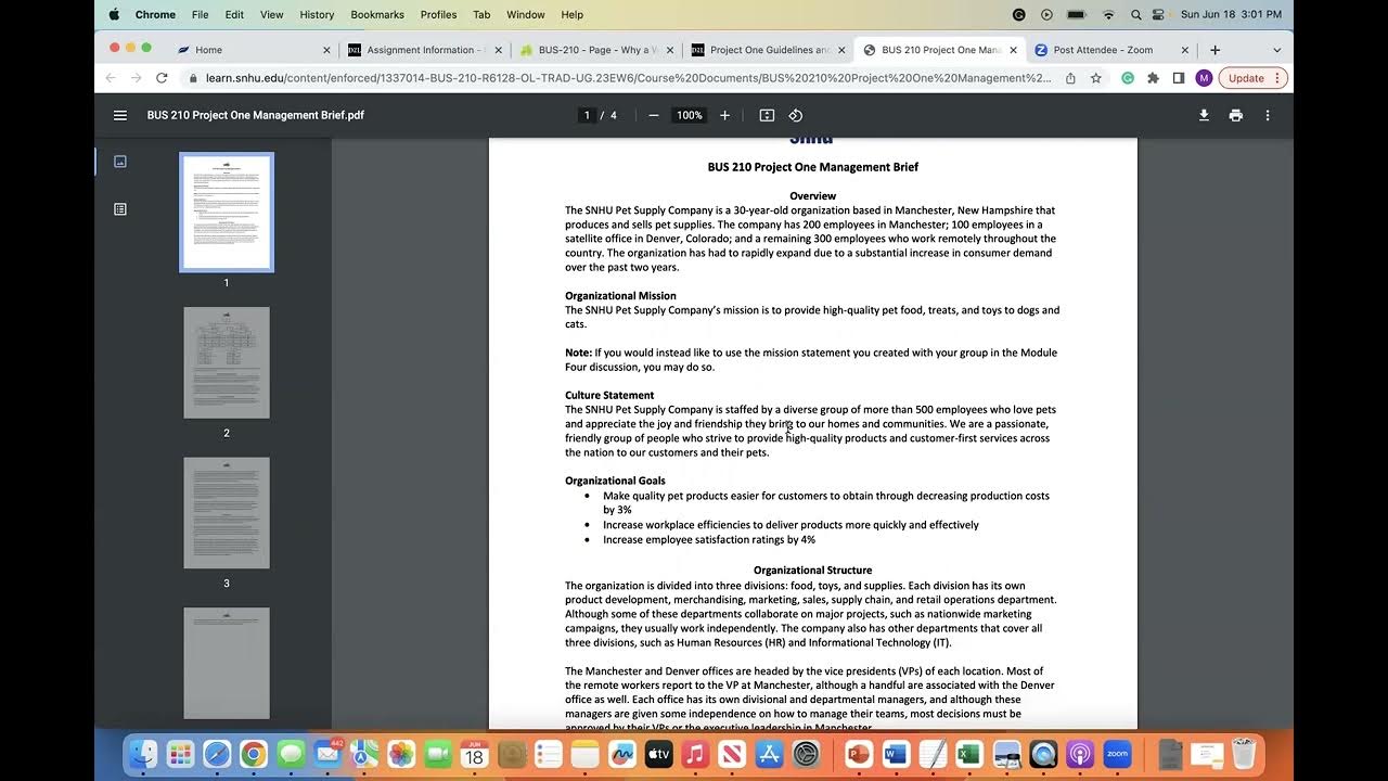 Snhu bus 210 project one lecture youtube