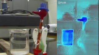 Drinking Bird Toy - Filmed in Infrared with FLIR-One