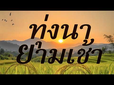 รวมเพลงลูกทุ่งอมตะ คัดมาพิเศษ เพราะทุกเพลง \ อเมซิ่งสุพรรณ \ ตะวันรอนที่หนองหาร