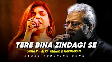 Tere Bina Zindagi Se Koi Shikwa To Nahi - Alka Yagnik, Hariharan | Dil Vil Pyar Vyar