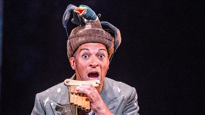 The Magic Flute  'Der Vogelfanger bin Ich ja' (Moz...