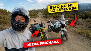Vas a QUERER una KAWASAKI KLE 500 después de ver este video