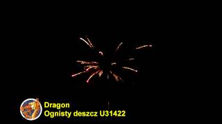 U31422 2013