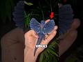 5 ANIMALS that scientists thought were extinct
