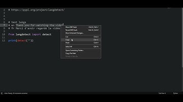Language detection using python