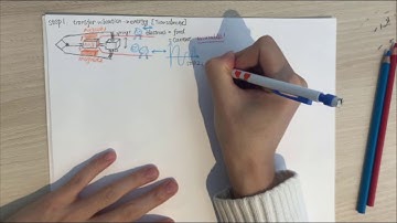 Piezo Energy Harvester Xinjian