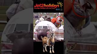 Jet 2 Holiday funny funnyshorts funnys
