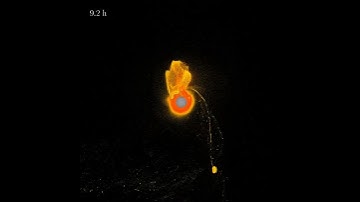 Supercomputer Simulation of the Moon