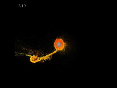 Supercomputer Simulation of the Moon's Origin (Wide-Orbit Cross Section)