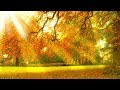 Relaxing Music 24/7, Meditation, Healing, Reiki Music, Yoga, Spa, Zen, Calm Music, Study, Sleep