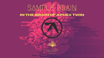 SampleBrain in the brain of Aphex Twin #samplebrain #aphextwin