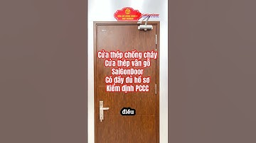 ✅ Cửa Gỗ HDF Veneer có những ưu điểm gì, cùng SaiGonDoor tìm hiểu nhé | Cửa Gỗ Công Nghiệp