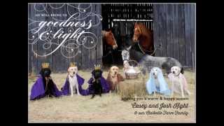 How to make a living, all animal, Christmas nativity!