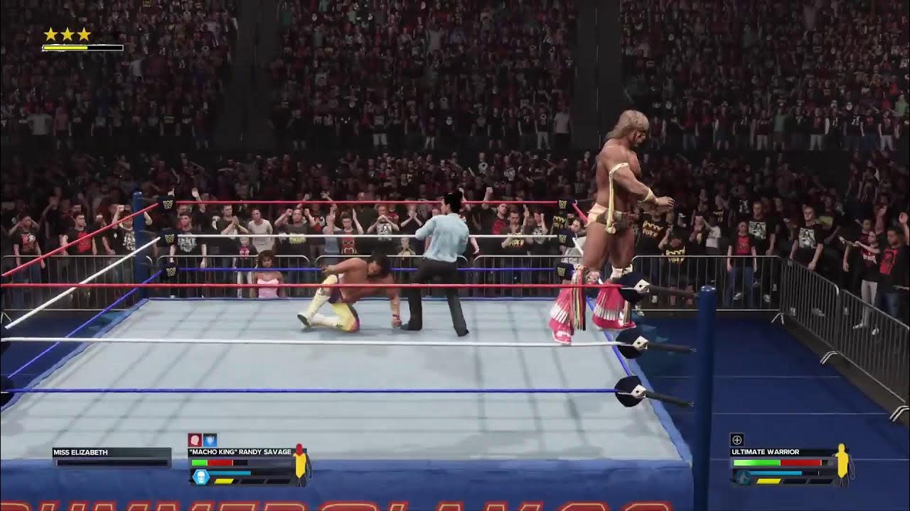 Macho Man Vs Ultimate Warrior Retirement Match