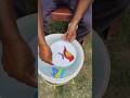 Red ♥️ Bird 🕊️ drawing on plate Drawing is floating in water 💦#shortsviral