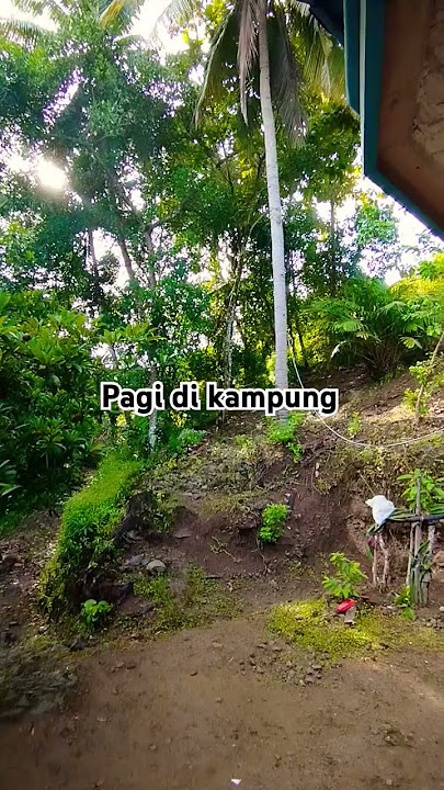 susana di kampung pagi hari #kampung #liburan #shorts
