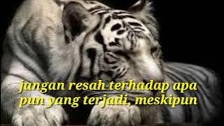 cocok buat story wa kata kata bijak terbaru macan putih(secara logika)
